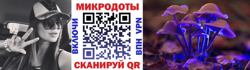 Галлюциногенные грибы мухоморы  купить закладку  Усть-Илимск 